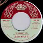 Analog Mutants - Speak Easy / I'm On Vacation (808 Remix) (7") [Nobody Buys Records 2022]