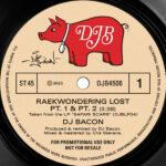 DJ Bacon - Raekwondering Lost (7") [DJ Bacon DJB4506]