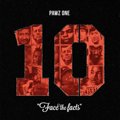 Pawz One - Face The Facts (10th Anniversary Edition) (LP) [Below System Records BS009]