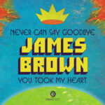 James Brown - Never Can Say Goodbye (7") [Dynamite Cuts DYNAM7139]